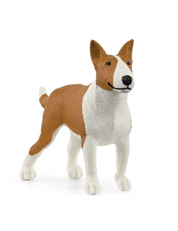 Σκύλος Bull Terrier