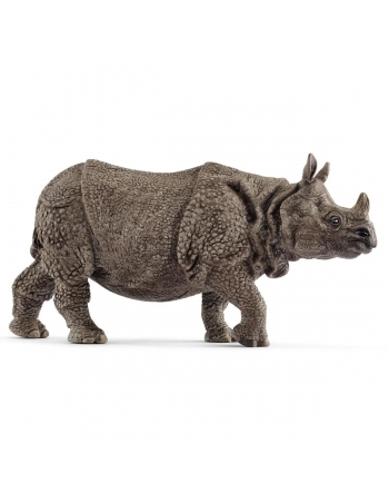 Rhino Indian