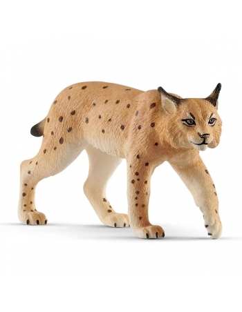 Lynx