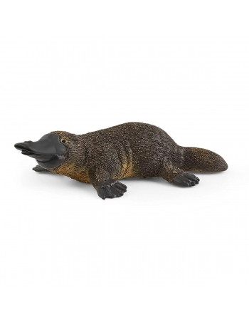 Platypus