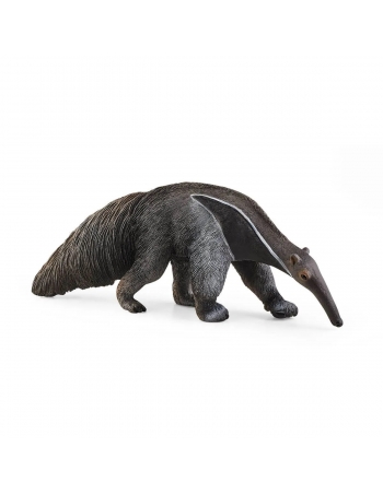 Anteater