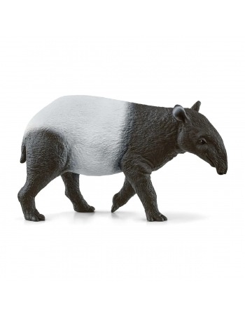 Tapir