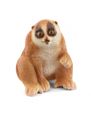 Slow Loris