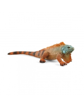Iguana