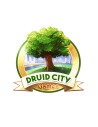 Druid City Games